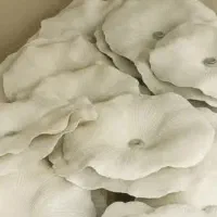 لوستر زیبای گل