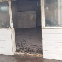 اجاره-مغازه-33-متری-درانزلی