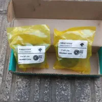 بوش طبق پژو ۲۰۰۸