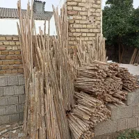 چوب هیزمی مناسب کبابی