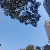 اجاره مغازه ۷۰ متری در مهرآباد
