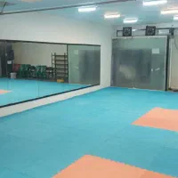 باشگاه ورزشی رزمی