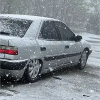زانتیا نقره ای