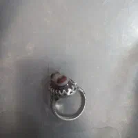 انگشتر باباقوری دو کوهانه