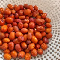 عناب تازه
