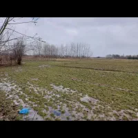 4000-متر-زمین-شالیزار-سنتی