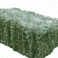 فروش فوری پرس یونجه