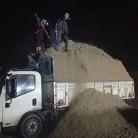 کاه نیشکر|لوازم جانبی حیوانات|خرم‌آباد, |دیوار