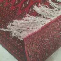 فروش قالیچه ترکمن و یک جفت پشتی ترکمن|فرش|مشهد, میان ولایت|دیوار