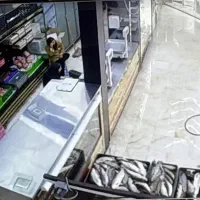 استخدام پرسنل اقا بیخس کار