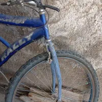 دوچرخه|دوچرخه، اسکیت، اسکوتر|فسا, |دیوار