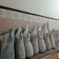 رنگی و سفید