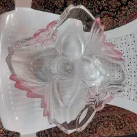 ظروف پذیرایی