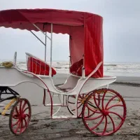 کالسکه اسب و اسب