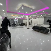 عمارت لامور|اجارهٔ کوتاه‌مدت ویلا و باغ|شهریار, شهرک وائین|دیوار