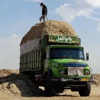 حمل و نقل نسیم بار