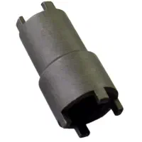 اچار گمشده در تصویر