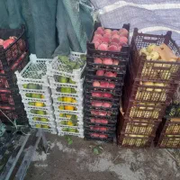 واگذاری مغازه میوه فروشی بجز قسمت سبزی