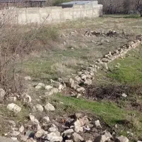 190-متر-زمین-کاربری-تجاری-و-اداری-خیابان-اصلی-شهر