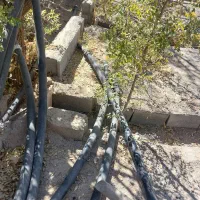 لوله برا ابیاری