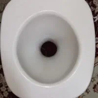 توالت فرنگی سیار