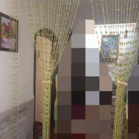 پرده مهره ای