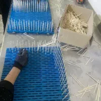 استخدام  تعدادی نیرو خانم جهت کار خانه تولید نبات