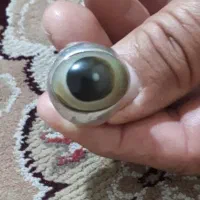 انگشتر بابا غوره اصل عتیقه|جواهرات|قم, بوستان جوان|دیوار