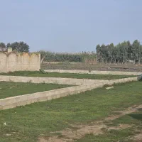 زمین ۲۰۰ متری سنددار در ساحل چپکرود، فرصت طلایی