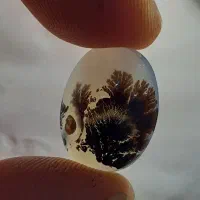 سنگ شجر|جواهرات|تهران, هرندی|دیوار