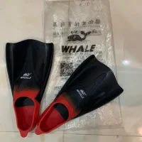 فین شنا برند وال