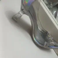 کفش مجلسی