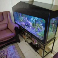 آکواریوم