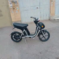 دوچرخه برقی همتاز 800 وات
