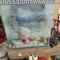 اکواریوم شیشه خم با امکانات