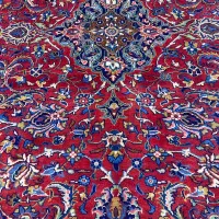 فرش دستباف (بساک)۹ متری ساروق ۲ سانت گوشتدارد|فرش|مشکیندشت, |دیوار