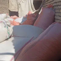 کاه خوب به شرط نرمی خیلی خوب کار دیمه