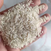 برنج طارم پرمحصول کیلویی۱۷۹هزار