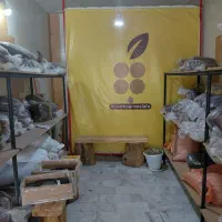 کشمش
