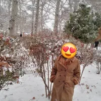 پالتو پوست زیبا قیمت مقطوع