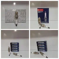 شمع ایریدیوم ، سوزنی ، پلاتینیوم / شستشوی انژکتور|قطعات یدکی و لوازم جانبی|فردیس, فردیس|دیوار