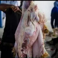 قصاب ماهر با بیش از 30سال تجربه تجربه