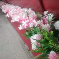 خانم جوان در مجموعه جویس پلاس