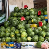 استخدام نیروی اقاحقوق ماهیانه ۴۰ میلیون میوه فروشی