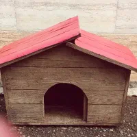 لانه سگ|لوازم جانبی حیوانات|رشت, لاکان شهر|دیوار