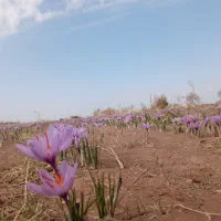 ملک زمین و آب چاه موتور