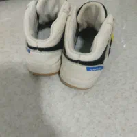 کفش|کفش و لباس بچه|هشتگرد, شهرک بوستان|دیوار