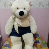 خرس گنده،تنبل،کار نکرده اماپر از حس آرامش وارداتی