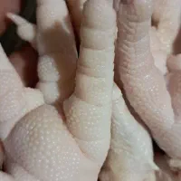 ضایعات پای مرغ