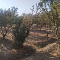 باغ ویلا در بافت شهری گلپایگان|فروش خانه و ویلا|گلپایگان, |دیوار